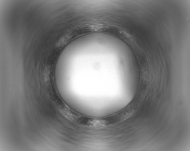 X0000056030221200509092213