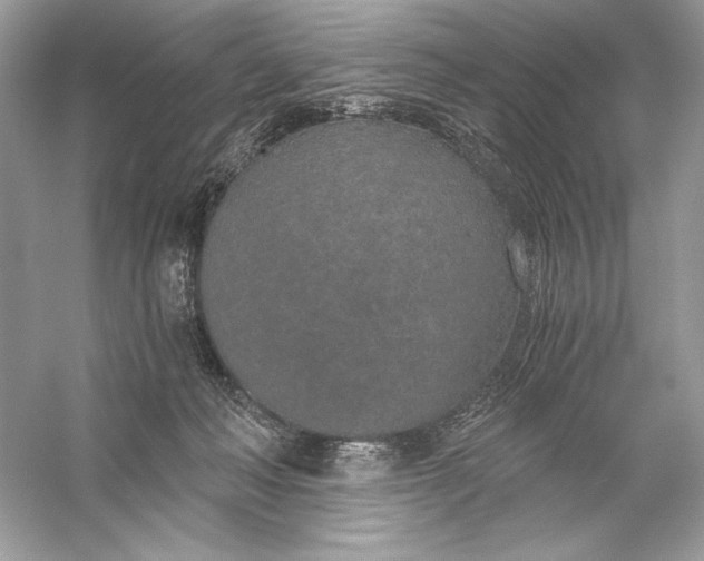 X0000056030222200509092213