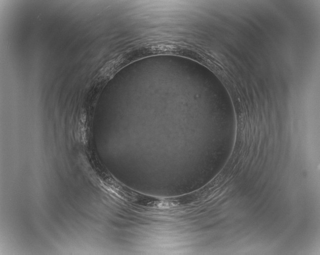 X0000056030223200509092213