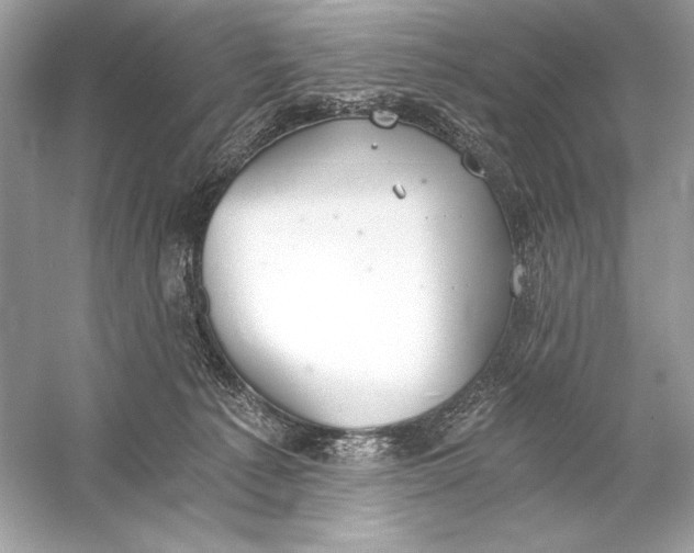 X0000056030225200509092213