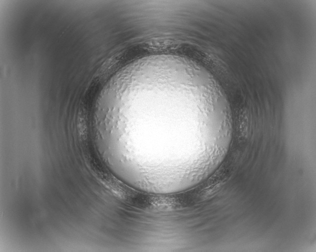 X0000056030226200509092213