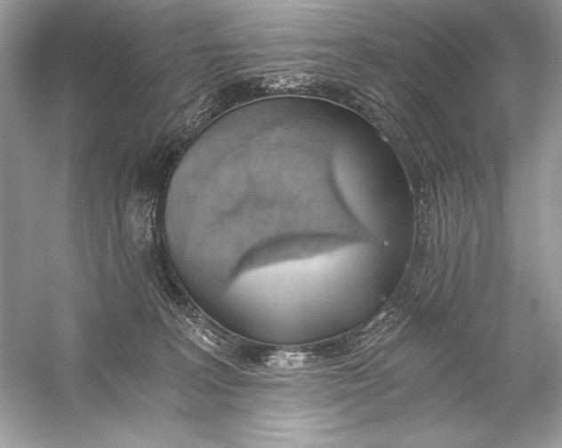 X0000056030227200509092213