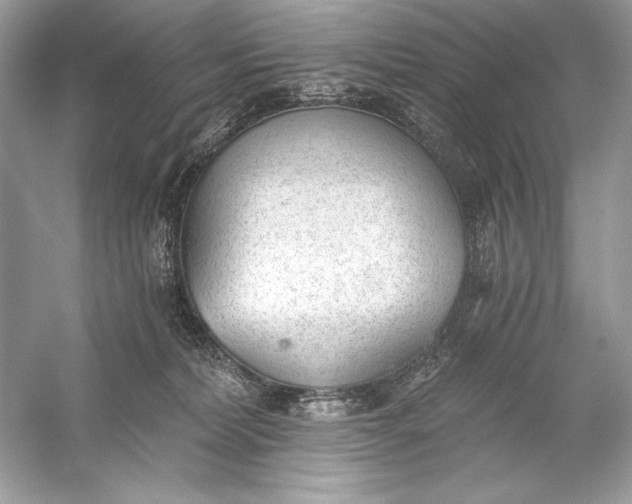 X0000056030228200509092213