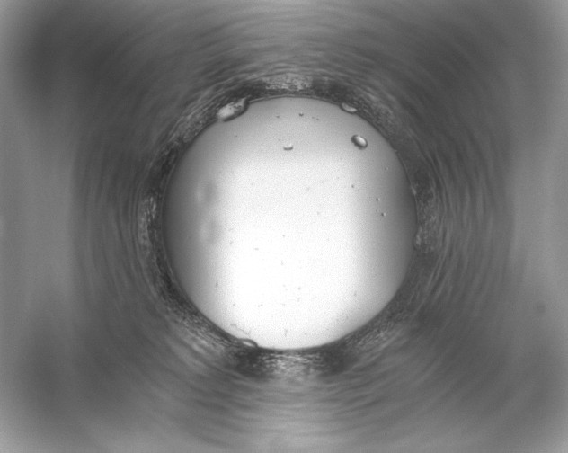 X0000056030229200509092213