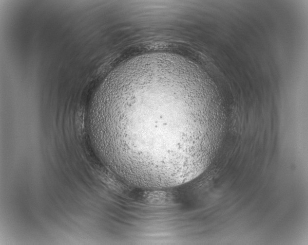 X0000056030230200509092213