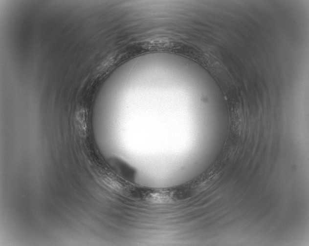 X0000056030232200509092213