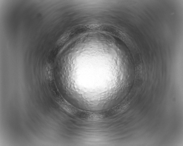 X0000056030234200509092213