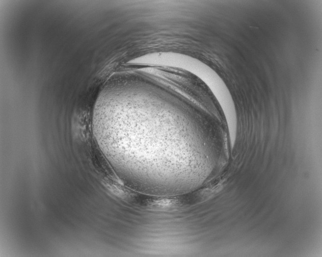 X0000056030237200509092213