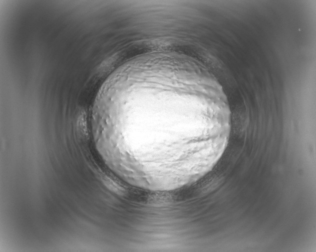 X0000056030238200509092213