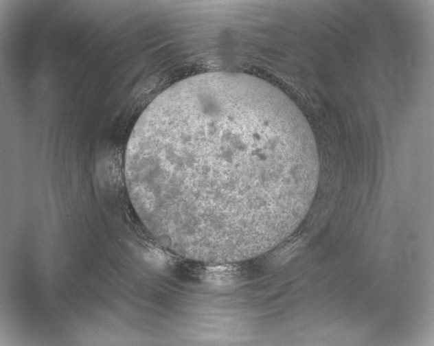 X0000056030240200509092213