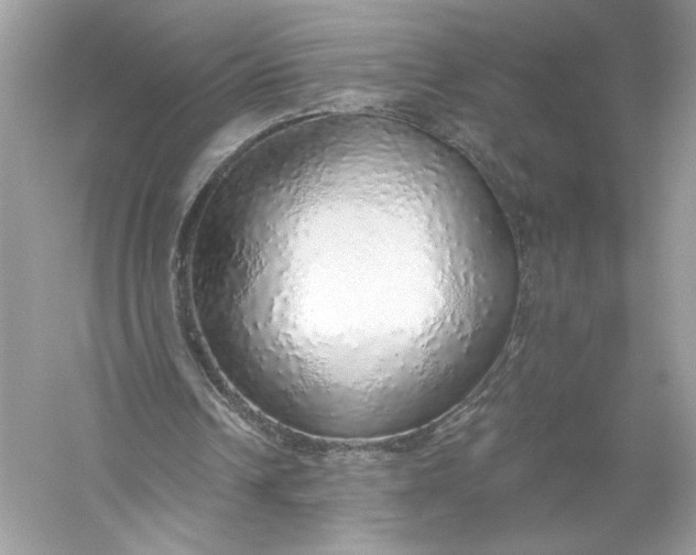 X0000056030242200509092212