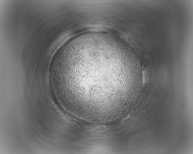 X0000056030243200509092212