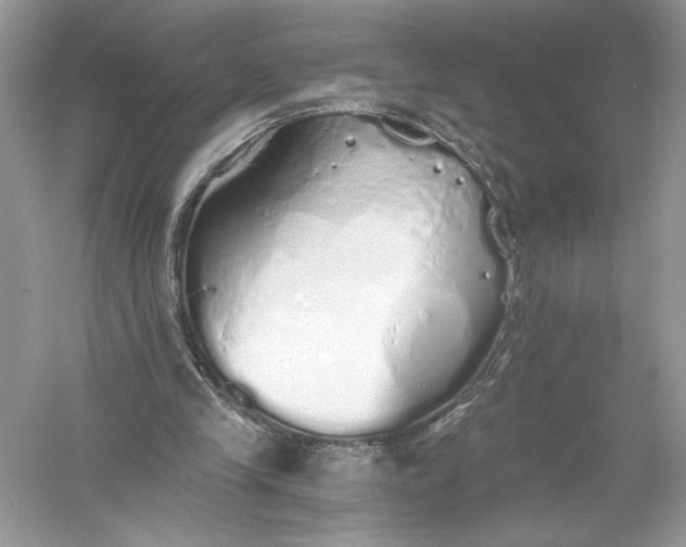 X0000056030245200509092212