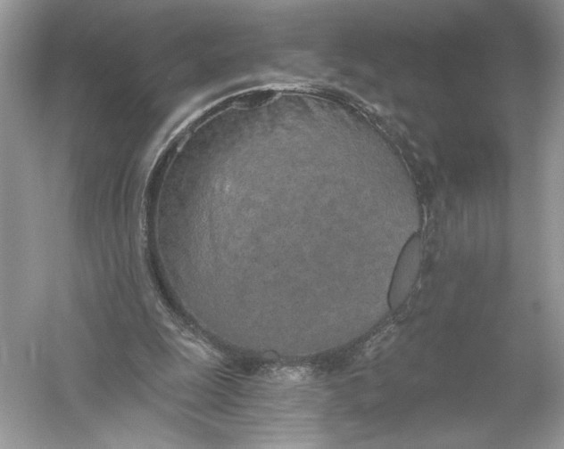 X0000056030247200509092212