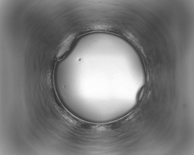 X0000056030249200509092212