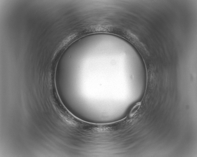 X0000056030250200509092212