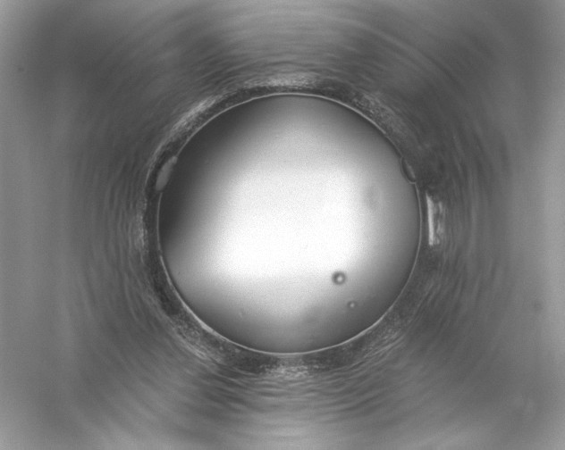 X0000056030252200509092212