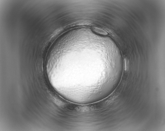 X0000056030253200509092212