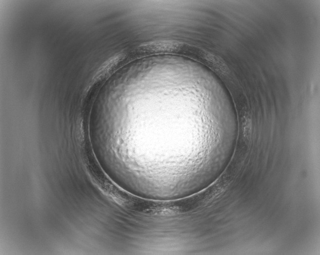 X0000056030254200509092213