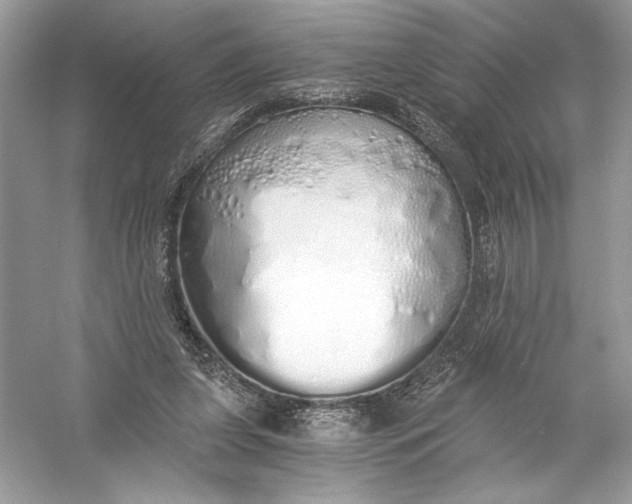 X0000056030255200509092213