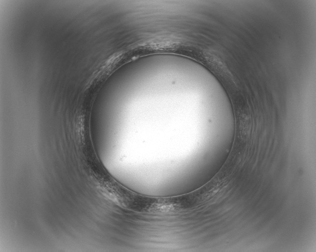 X0000056030260200509092213