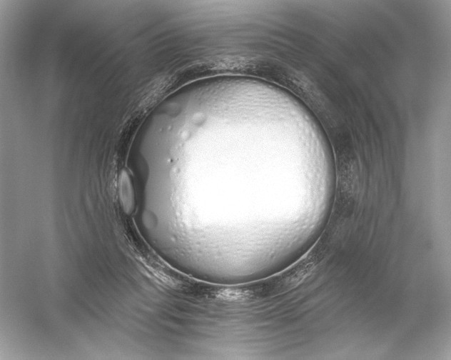 X0000056030261200509092213