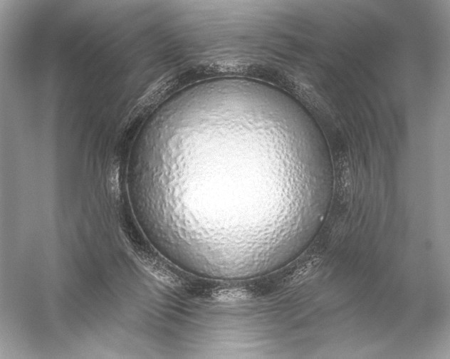 X0000056030262200509092213