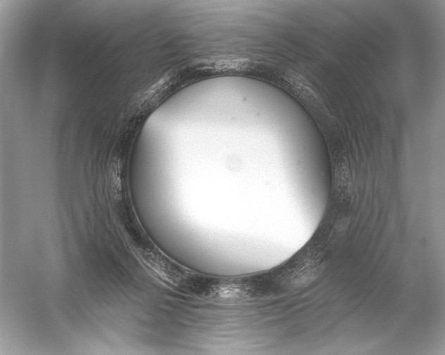 X0000056030264200509092213