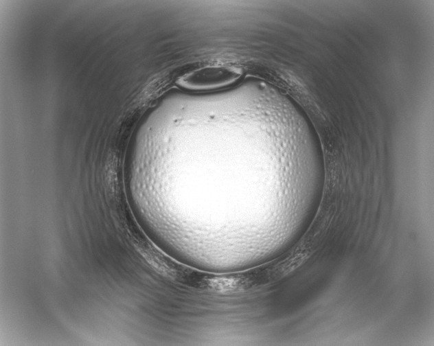 X0000056030265200509092213