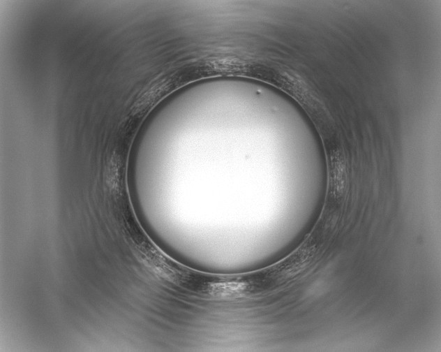 X0000056030266200509092213