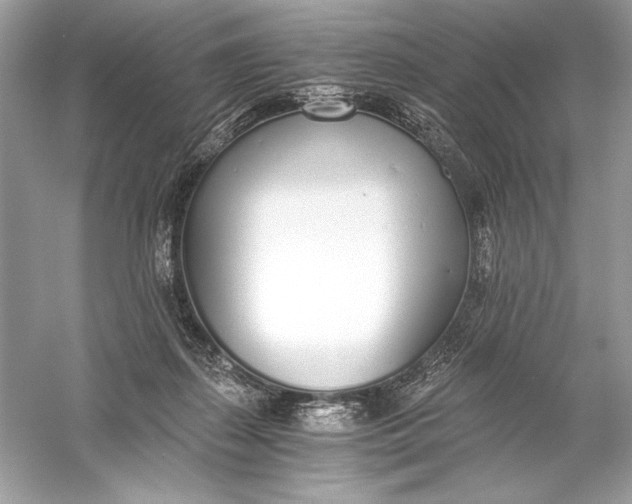 X0000056030267200509092213