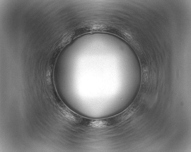 X0000056030269200509092213