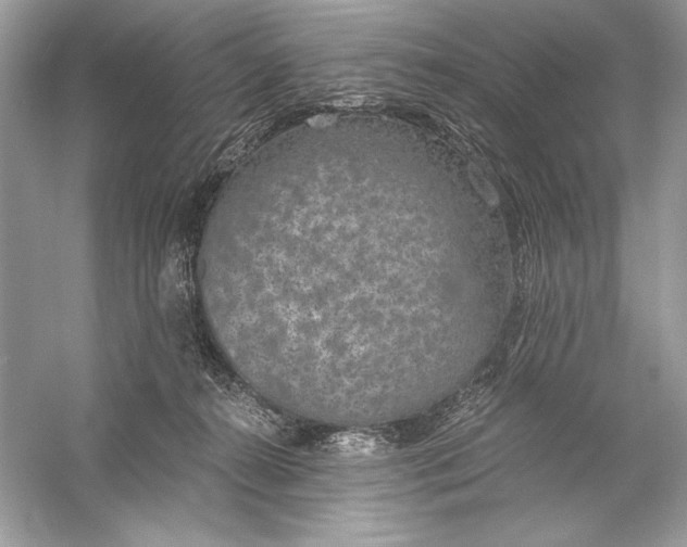 X0000056030272200509092213