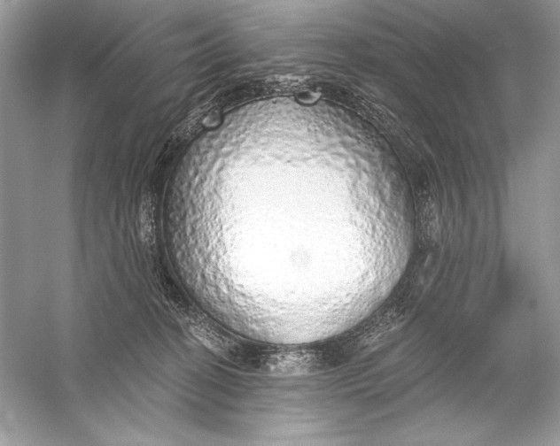 X0000056030274200509092213