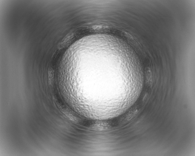 X0000056030278200509092213