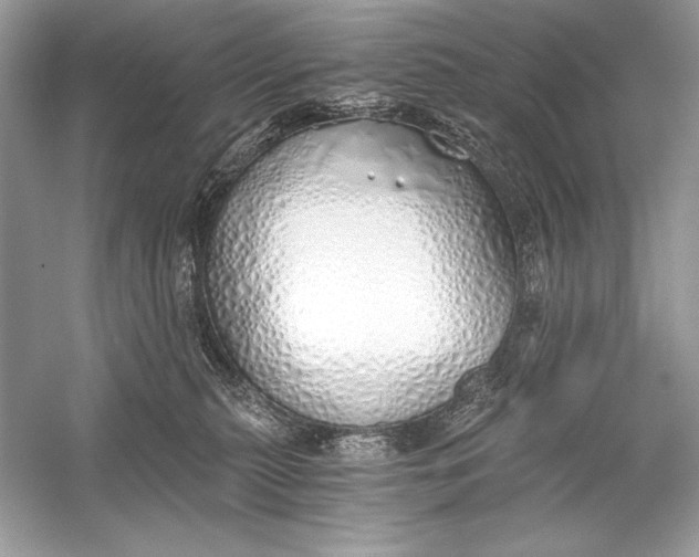 X0000056030279200509092213