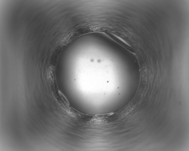 X0000056030280200509092213