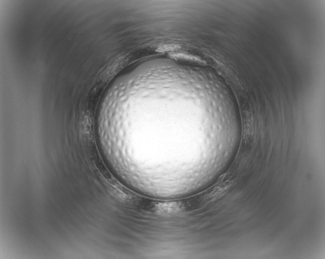 X0000056030281200509092213