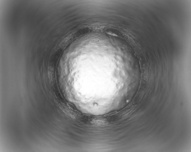 X0000056030283200509092213