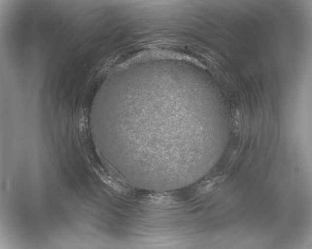 X0000056030284200509092213