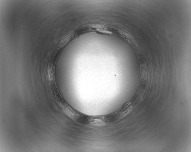 X0000056030285200509092213