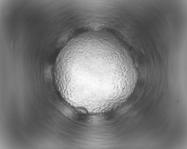 X0000056030286200509092213