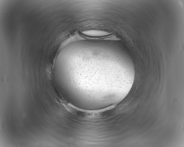 X0000056030288200509092213