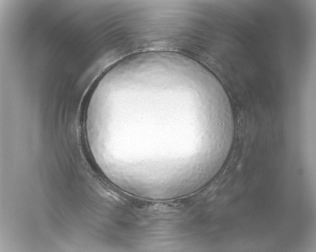 X0000056030290200509092212