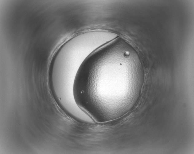 X0000056030293200509092212