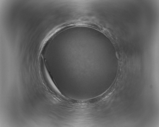 X0000056030295200509092212