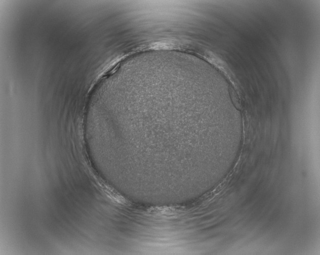 X0000056030297200509092212