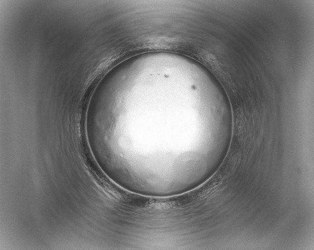 X0000056030299200509092212