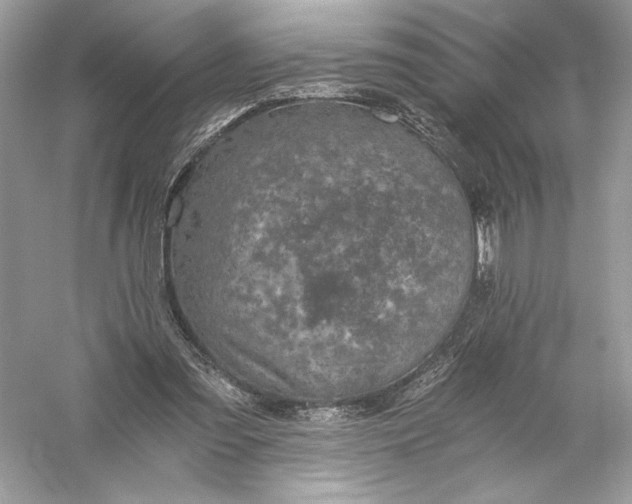 X0000056030301200509092212