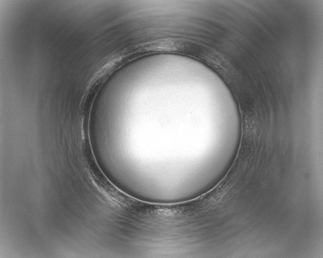 X0000056030302200509092212